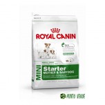 ROYAL CANIN MINI STARTER MOTHER & BABYDOG KG 1